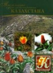 Тюльпаны и другие луковичные растения Казахстана