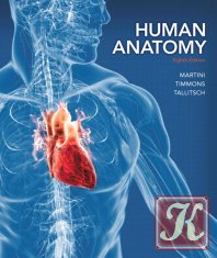 Human Anatomy (8th Edition)