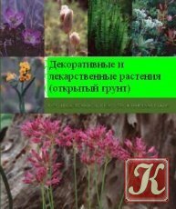 Декоративные и лекарственные растения (открытый грунт)