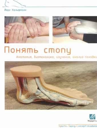Понять стопу. Анатомия, биомеханика, изучение, анализ походки - Хальфманн Йорг.