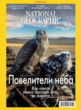 National Geographic №11 2018 Россия