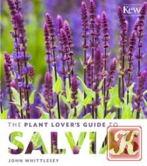 The Plant Lover&039;s Guide to Salvias