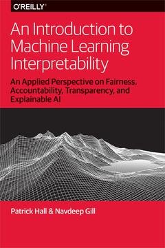 An Introduction to Machine Learning Interpretability