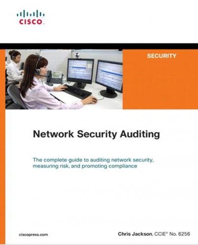 Network security auditing
