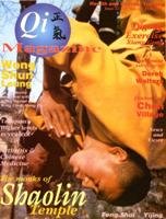 Qi Magazine № 22 1995