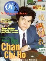 Qi Magazine № 17 1994/95