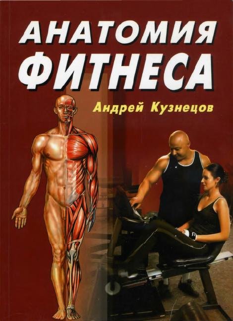 Анатомия фитнеса - А.Ю. Кузнецов
