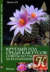 Круглый год среди кактусов: советы по уходу за коллекцией