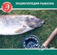 Рыбалка. Энциклопедия