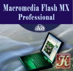 Macromedia Flash MX Professional. Обучающий видеокурс
