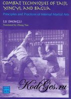 Chinese Martial Arts: From Antiquity to the Twenty-First Century