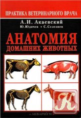 Анатомiя свiйських тварин