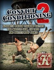Convict Conditioning 2: Advanced Prison Training Tactics for Muscle Gain, Fat Loss, and Bulletproof Joints by Paul Wade