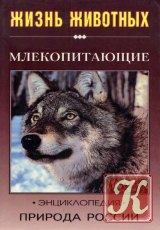 Природа России (жизнь животных). Млекопитающие (часть 2)