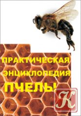 Микроклимат пчелиного улья и его регулирование