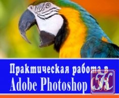 Эффективная работа в Adobe Photoshop CS3