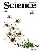 Science - May, №1 2009