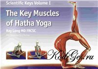 The key Muscles of Hatha Yoga