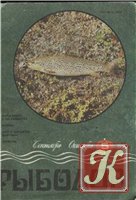 Рыболов №1 1990